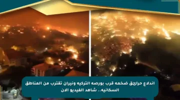 اندلاع حرائق ضخمة قرب بورصة التركية ونيران تقترب من المناطق السكانية.. شاهد الفيديو الآن